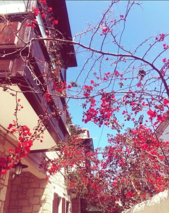 Alayaz Hotel Alaçatı Exteriér fotografie