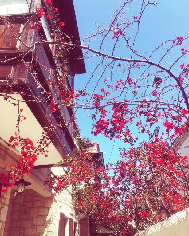 Alayaz Hotel Alaçatı Exteriér fotografie