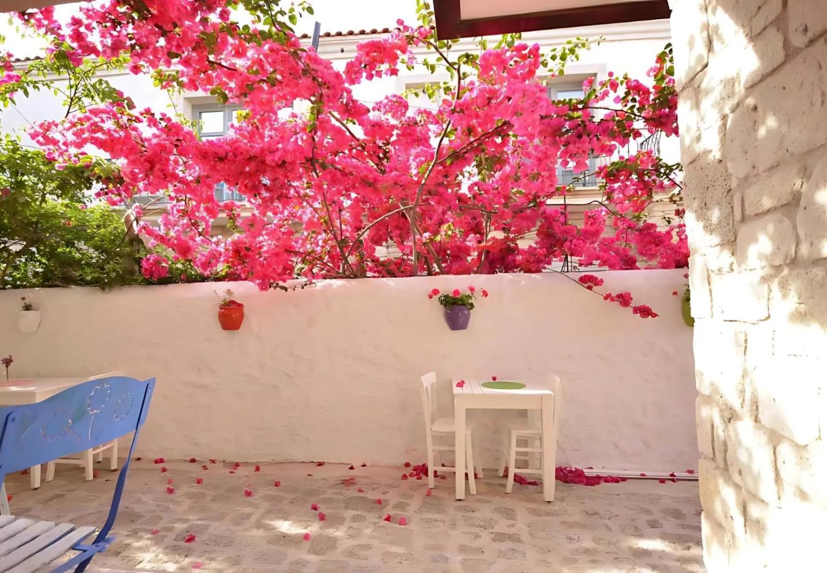 Alayaz Hotel Alaçatı Exteriér fotografie