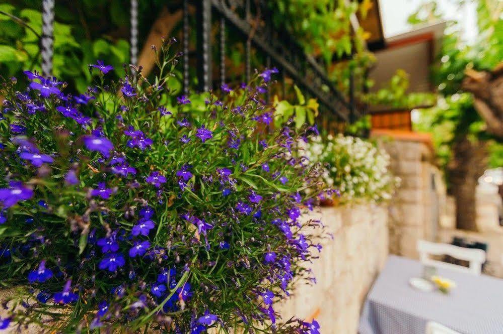 Alayaz Hotel Alaçatı Exteriér fotografie